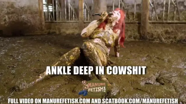 Ankle Deep In Cowshit